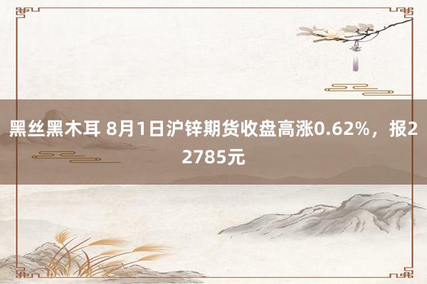 黑丝黑木耳 8月1日沪锌期货收盘高涨0.62%，报22785元