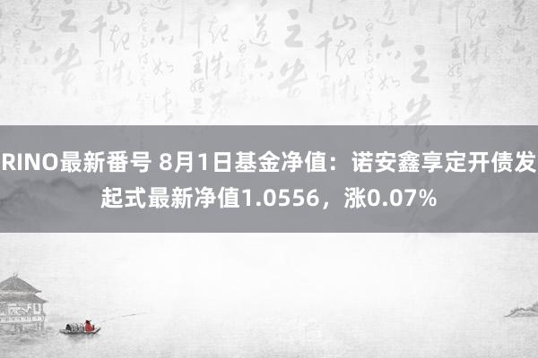 RINO最新番号 8月1日基金净值：诺安鑫享定开债发起式最新净值1.0556，涨0.07%