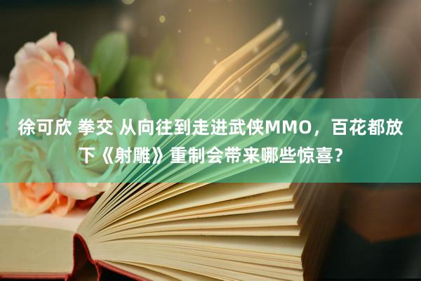 徐可欣 拳交 从向往到走进武侠MMO，百花都放下《射雕》重制会带来哪些惊喜？