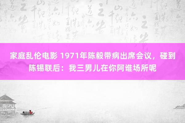 家庭乱伦电影 1971年陈毅带病出席会议，碰到陈锡联后：我三男儿在你阿谁场所呢