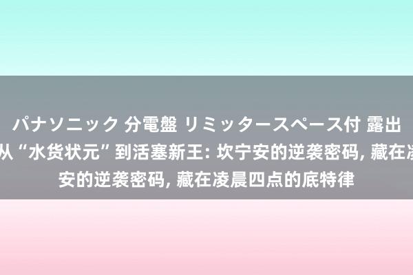 パナソニック 分電盤 リミッタースペース付 露出・半埋込両用形 从“水货状元”到活塞新王: 坎宁安的逆袭密码， 藏在凌晨四点的底特律