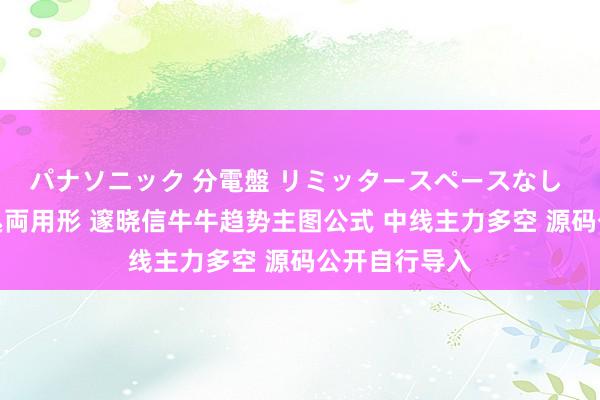 パナソニック 分電盤 リミッタースペースなし 露出・半埋込両用形 邃晓信牛牛趋势主图公式 中线主力多空 源码公开自行导入