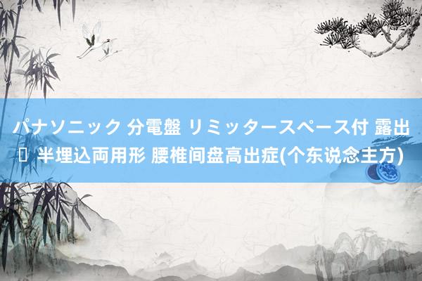 パナソニック 分電盤 リミッタースペース付 露出・半埋込両用形 腰椎间盘高出症(个东说念主方)