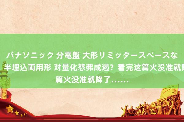 パナソニック 分電盤 大形リミッタースペースなし 露出・半埋込両用形 对量化怒弗成遏？看完这篇火没准就降了……