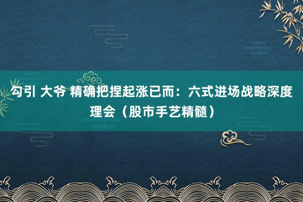 勾引 大爷 精确把捏起涨已而：六式进场战略深度理会（股市手艺精髓）