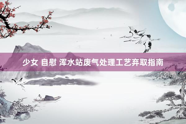 少女 自慰 浑水站废气处理工艺弃取指南