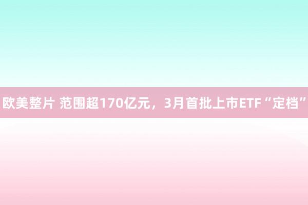 欧美整片 范围超170亿元，3月首批上市ETF“定档”